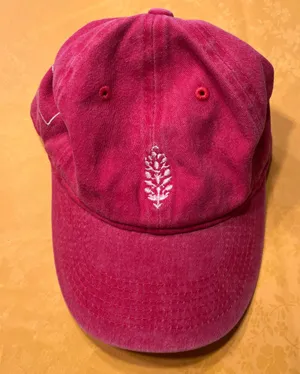 Final price ✨FP Movement logo hat thumbnail 1