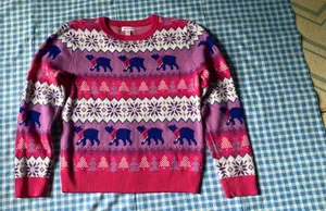 Holiday Lane Sweater Pink Size XL thumbnail 1