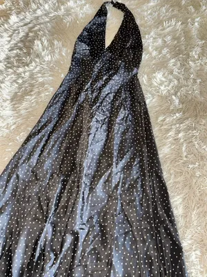 NEW Reformation Daniela Silk Selene Polka Dots Halter Maxi Sz 6 thumbnail 10