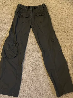 Brandy Melville Low rise  pants thumbnail 1