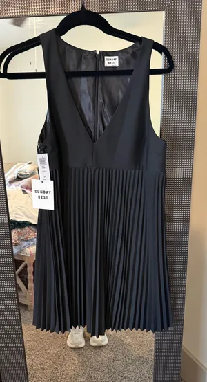 Aritzia Dress thumbnail 1