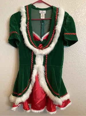 NIB Holiday Honey Christmas Costume by InCharacter Costumes Sz L thumbnail 1