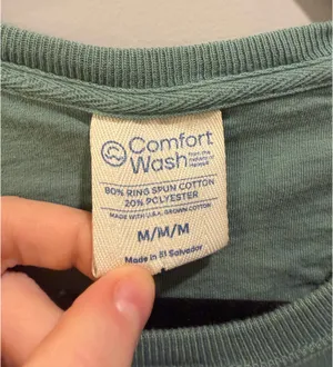 Comfort Wash Georgia Aquarium Atlanta GA Embroidered Logo Sweatshirt Green thumbnail 4