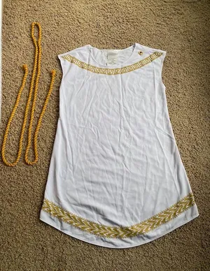 Toga California Costumes Grecian Costume Sz XL thumbnail 2
