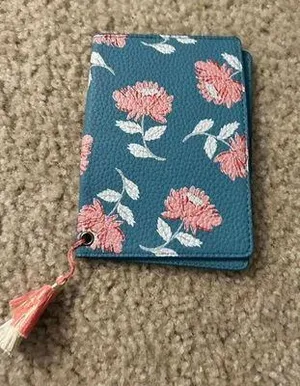 Passport storage carry on other documents Blue thumbnail 1