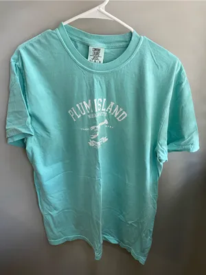 Comfort Colors Plum Island Graphic Tee - Aqua Blue thumbnail 1