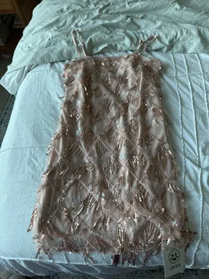 Sequin Dress size small Tan thumbnail 4