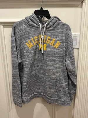 Champion University of Michigan hoodie thumbnail 1