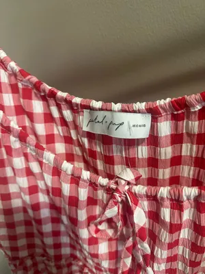 Petal and pup gingham dress  thumbnail 4