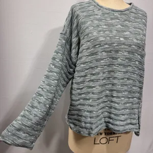 Madewell Crewneck Long-Sleeve Knit Sweater Tee Blue Horizon Stripe Size L Beachy thumbnail 2
