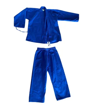 Amazing 2-piece Electric Blue Martial Arts Gear Uniform Set 🔥 thumbnail 1