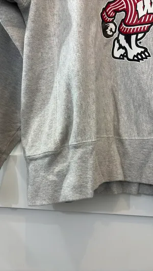 Badgers Oversized Grey Crewneck UW-Madison Champion thumbnail 3