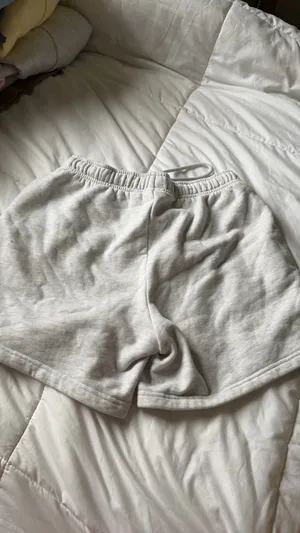 Aritzia Shorts thumbnail 4