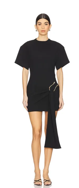 Lioness Dress thumbnail 1