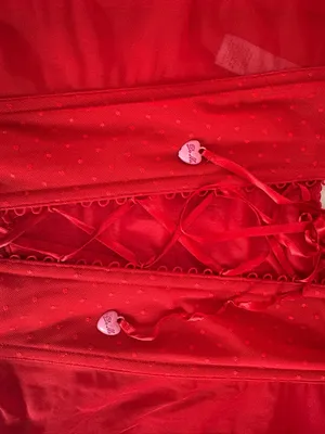 Savage X Fenty Red Lace-Up Mesh Bustier thumbnail 2