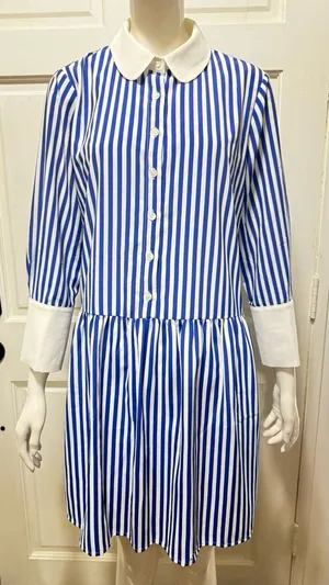 Tuckernuck Blue and White Striped Button-Front Shirt Dress Size Medium thumbnail 1