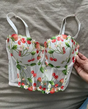 Victoria's Secret Dream Angels Strawberry Embroidery Corset Top thumbnail 1