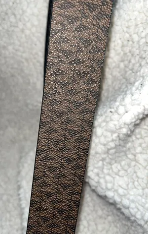 Reversable Belt thumbnail 3