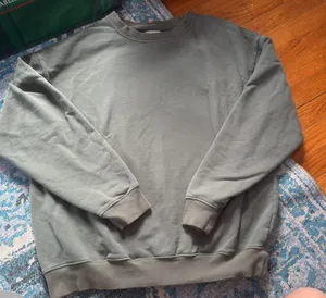 Aerie Sage, green, oversized, heavy duty crewneck thumbnail 1
