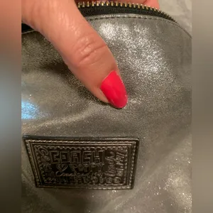 Coach Metallic Silver Poppy Hobo Bag thumbnail 12