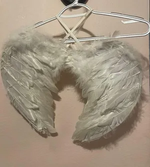 Angel Wings White thumbnail 1
