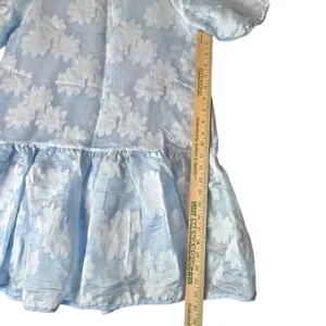 Pink Ripple Womens S Swing Dress Puff Sleeve Drop Waist Blue Floral Garden Party thumbnail 7
