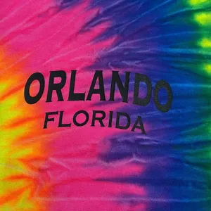 GILDAN size large multi color Tie-Dye Long Sleeve Shirt Orlando Florida beachy thumbnail 4
