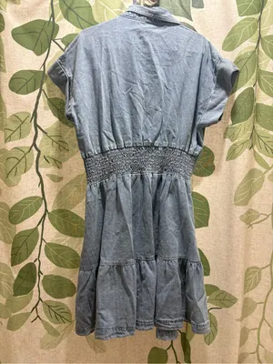 Velvet Heart Light Blue Denim Button-Front Dress thumbnail 3