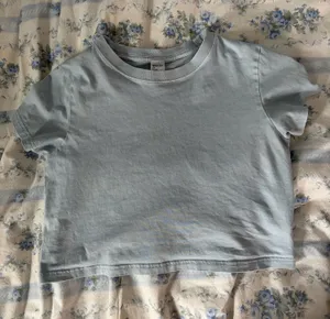 Aritzia light blue cropped tee thumbnail 1