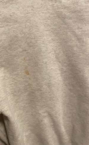Champion Troy  pullover thumbnail 2