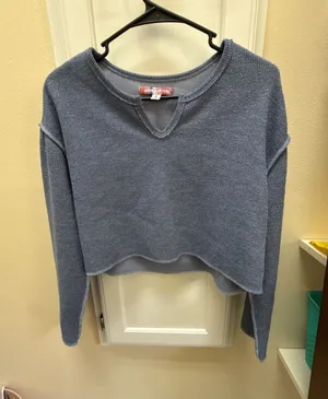 Urban Outfitters Blue Long Sleeve Cropped Notch Neck Top thumbnail 1