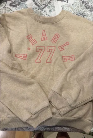 American Eagle Sweatshirt thumbnail 1