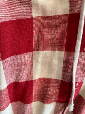 American Eagle Outfitters Flannel thumbnail 2