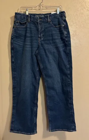 NWT American Eagle Curvy Straight Stretch jeans sz 12 Short thumbnail 1