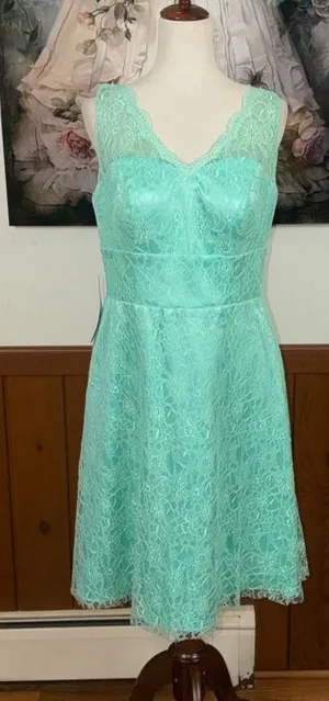 Beautiful New Azazie Alma Lace Fit-and-Flare Dress thumbnail 1