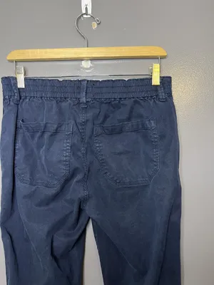 Paige Christy Pants Womens 27 Blue Jogger Elastic Drawstring Waist Stripe thumbnail 5