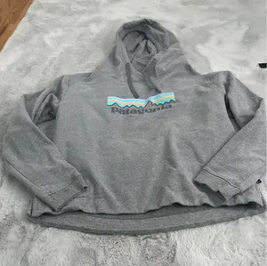 Patagonia Pullover Hoodie thumbnail 1