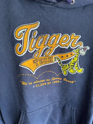 Disney’s Winnie the Pooh Tigger Tech Class of 1968 Hoodie thumbnail 2