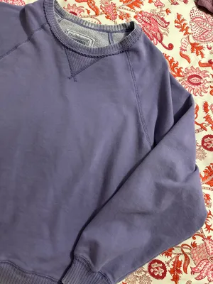 American Eagle Crewneck thumbnail 1