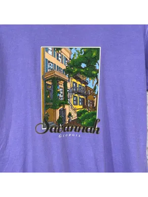 Comfort Colors Large Savannah Georgia Graphic T-Shirt thumbnail 2