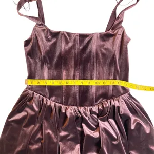 NWT Zara Bloggers Favorite Velvet Corset Mini Dress Maroon Size Medium thumbnail 7