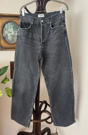 AGOLDE Low Slung Baggy Jeans thumbnail 1