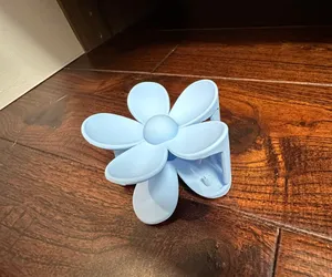 Amazon Beachy Claw Clips thumbnail 9