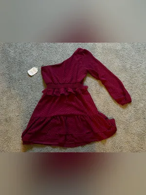 Altar’d State One Shoulder Burgundy Mini Dress Textured Clip Dot Fabric Sz S NWT thumbnail 11