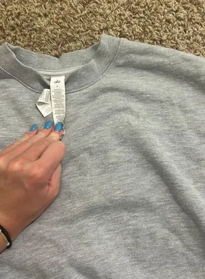 Alo gray crewneck thumbnail 2