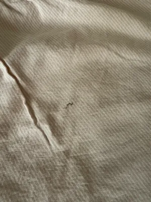Brandy Melville Top thumbnail 2