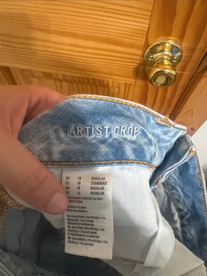 American Eagle Super Stretch Artist Crop Jeans Size 10 thumbnail 5