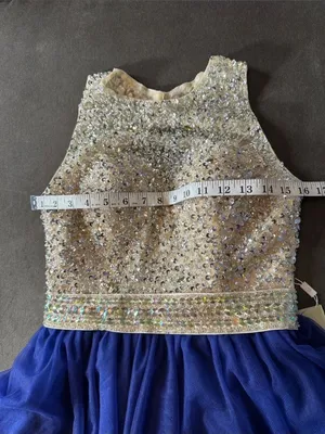 Women’s Embellished Sequin Beaded Bodice Royal Blue Tulle Party Dress Size 2 NWT thumbnail 11