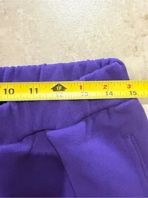 Samii Ryan Wicked For Good Elphaba Change The World Purple Sweatpants med thumbnail 3
