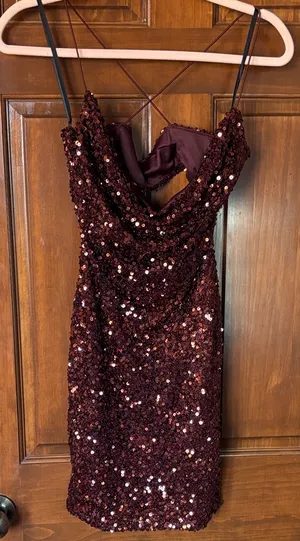 Windsor Sequin Burgundy Dress Size Large thumbnail 1